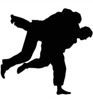 judo